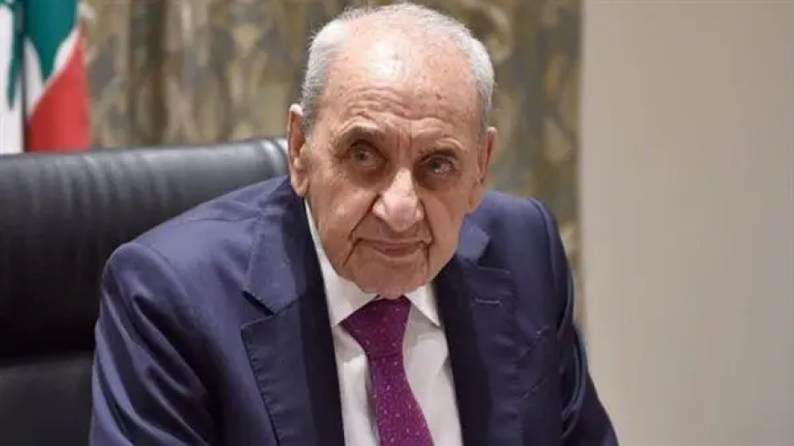 بري يلتقي السفير المصري