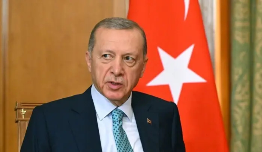 أردوغان لبزشيكيان: لإنجاز سلام حقيقي