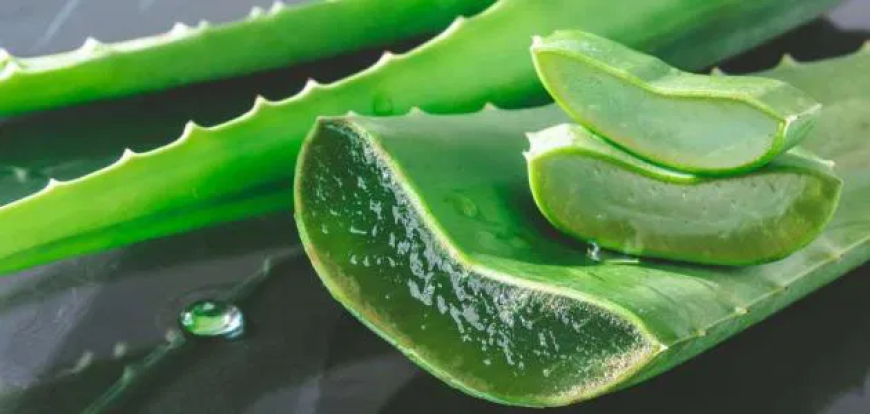 وداعًا للتصبغات… أسرار مطبخك لبشرة صافية ومشرقة