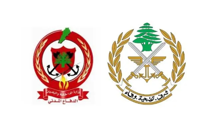 الجيش والدفاع المدني يحذران من مخاطر الألغام في الجنوب