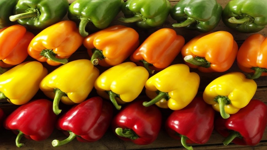 لتعزيز المناعة.. أي لون فلفل حلو هو الأفضل؟