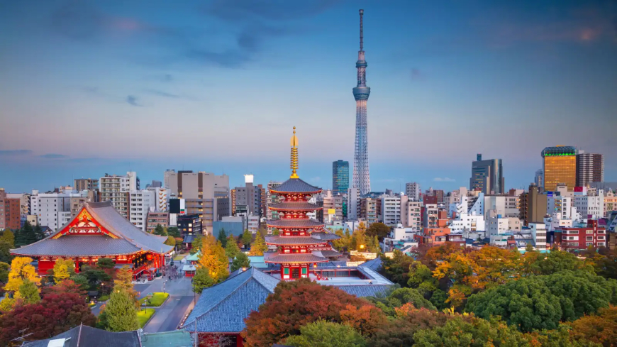 طوكيو… حيث تروي العمارة حكاية الماضي وتكتب ملامح المستقبل