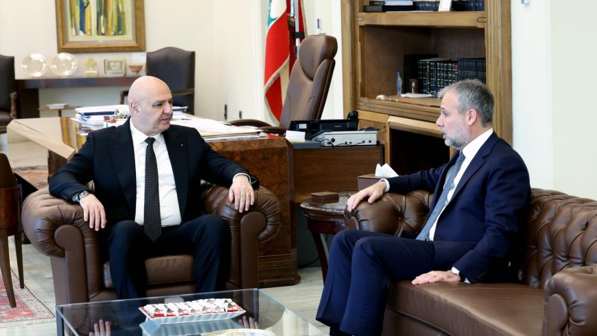 مارتينوس يزور بعبدا: لوقف الاعتداءات الإسرائيلية وحماية المدنيين والإعلاميين والمرافق الحيوية