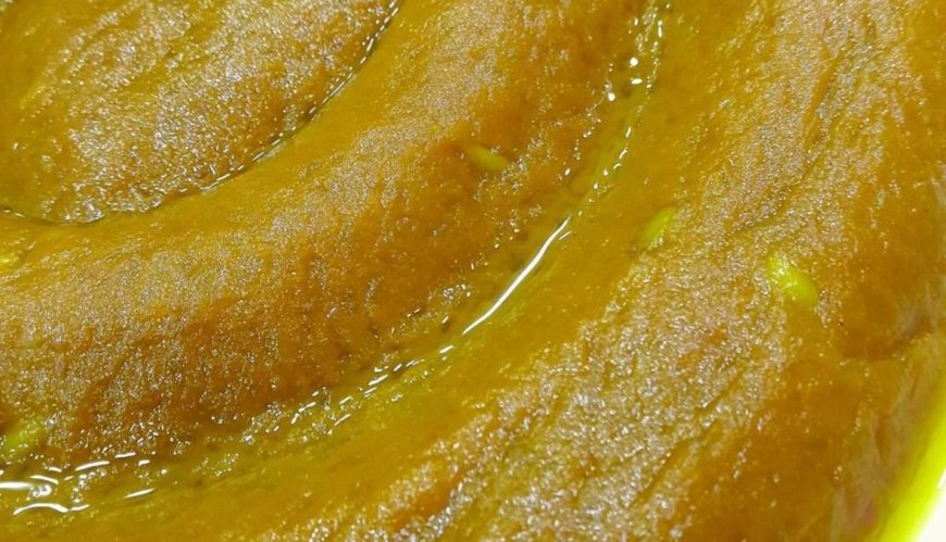 “أربعة أيوب”... حين يتحوّل بحر بيروت إلى طقس شفاء وذاكرة مدينة