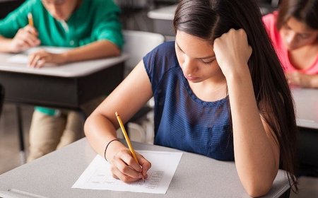 قرار تمديد العام الدراسي اتخذ.. ماذا عن الامتحانات الرسمية؟