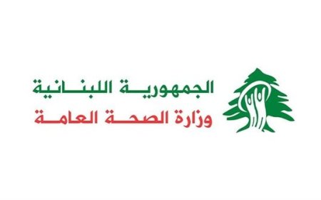 كم بلغت حصيلة الغارة على زلايا؟