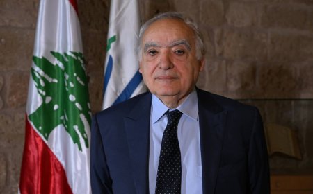 سلامة يلتقي سفيرة اليونان