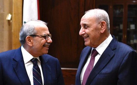 ماذا دار بين برّي وسلام؟