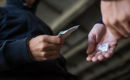 مواد مخدرة في "فان" للركاب.. والقوى الأمنية بالمرصاد