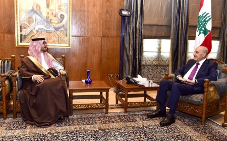 بري استقبل البخاري في زيارة وداعية وعرض مع زواره للسمتجدات