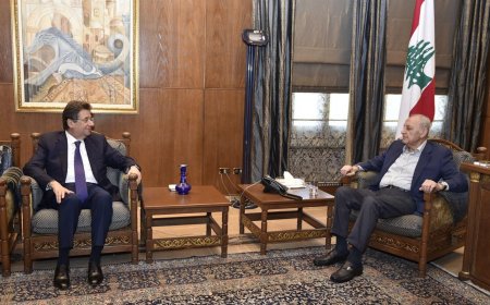 كنعان من عين التينة: ما يحمينا هي وحدتنا ووحدة موقفنا