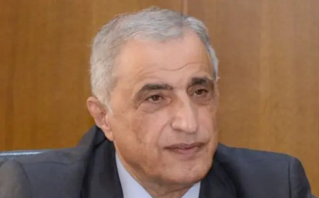 هاشم انتقد زيارة السيد: فولكلورية ولا تقدم حتى بالشكل التزاما وطنيا