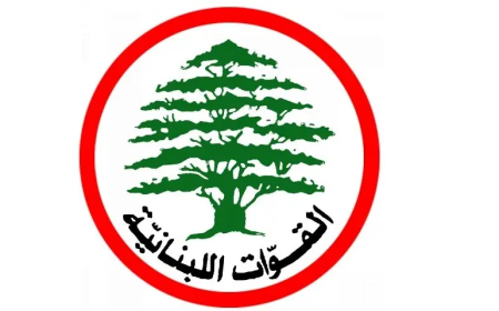 جولة لوفد من "القوات اللبنانية" في حاصبيا تأكيداً لدعم الأهالي والتمسك بالدولة