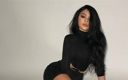 بالفيديو.. هيفاء وهبي تسحر الأنظار في مهرجان كان