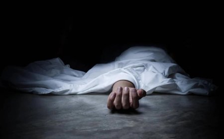 تعرّضت لحادث سير على الأوتوستراد.. هل تعرفون عنها شيئا؟