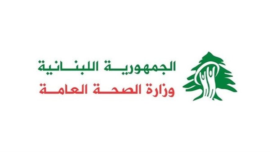 كم بلغت حصيلة الغارة على زلايا؟