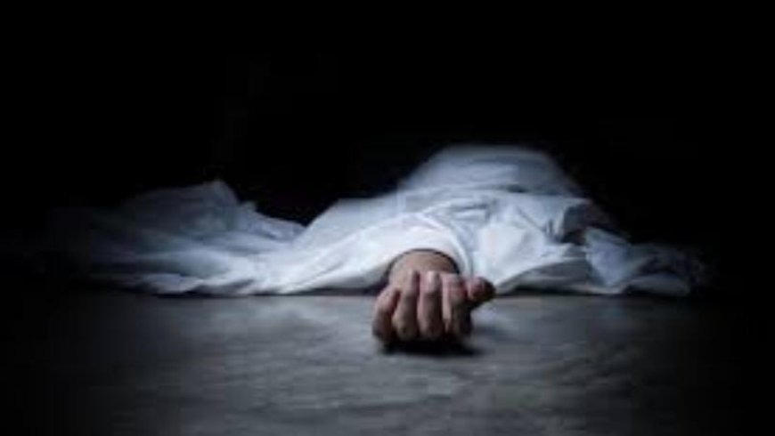 وفاة الطفلة السوريّة الجريحة في غارة النبطية