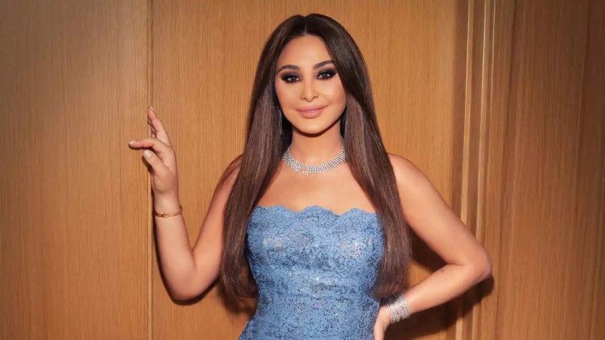 رسالة إليسا إلى الشامي تفتح باب التكهنات ...