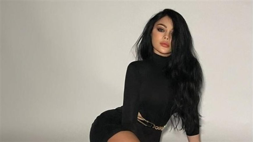 بالفيديو.. هيفاء وهبي تسحر الأنظار في مهرجان كان
